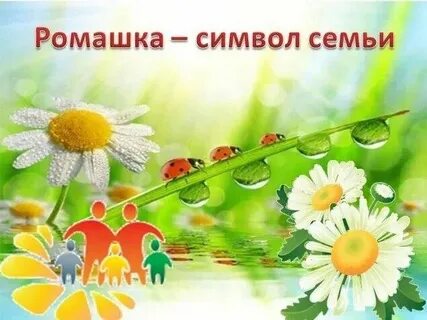 Ромашка ценностей