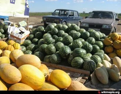 В каком году соль илецк стал арбузной