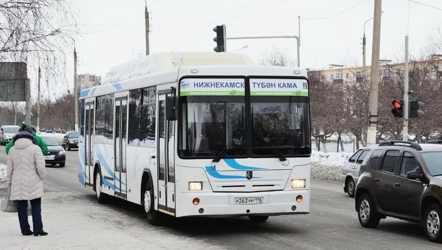Нижнекамск автобус 2. Городские автобусы нижнекамска. Автобусы нефаз нижнекамск. Отправка автобуса. Нижнекамское патп-1.