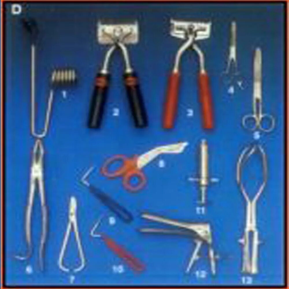 Медицинские инструменты. Инструменты для ветеринарии инструменты. Инструменты ветеринарного врача. Инструменты ветериналадля детей. Предметы для ветеринара