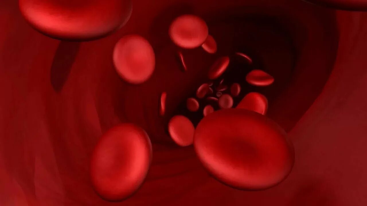 Blood is full. Hell is full. Ultrakill blood is fuel. Blood is full. Fbc blood test.