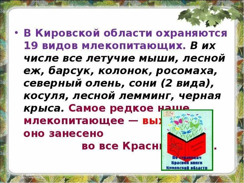 Редкие животные Кировской области занесенные в красную книгу. Красная книга Кировской области. Редкое животное Кировской области. Краснокнижные животные Кировской области. Кировская область указы