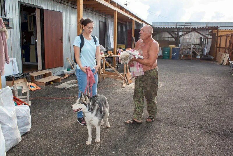 Приют для бездомных животных томск. Приют дога. Приют дога. Собачий приют в чебоксарах. Приют для собак в находке адрес.