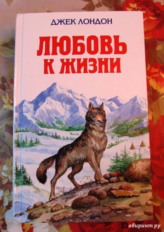 Джек лондон любовь к жизни. Любовь к жизни Джек Лондон книга. Джек Лондон любовь к жизни иллюстрации. Иллюстрации к книге любовь к жизни Джека Лондона. Джек Лондон книги для детей.