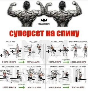 Программа тренировок для зала руки