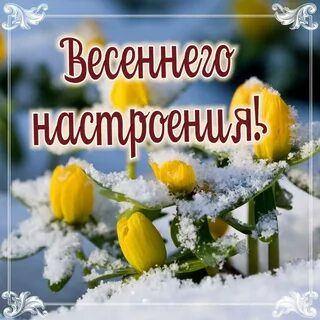 С добрым мартовским днем картинки новые