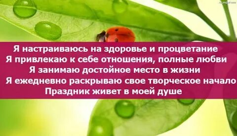Аффирмация дня здоровье