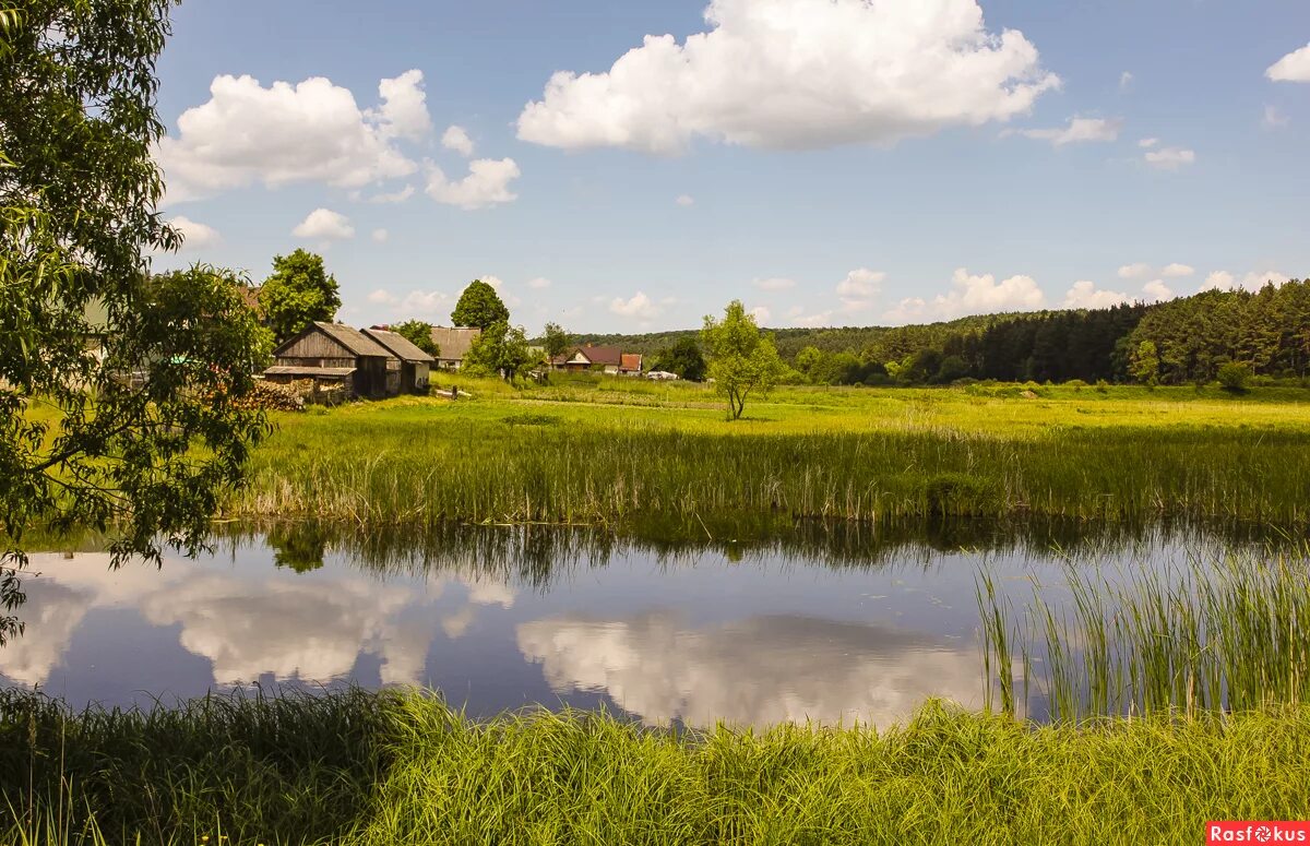 За каждый город каждое село. Проект город село. За каждый город каждое село. За каждый город каждое село. Стихотворение про улицу.