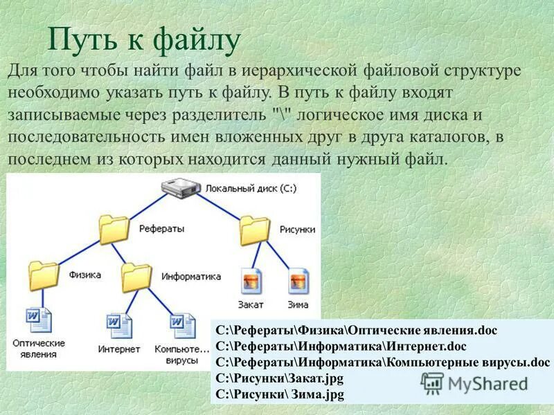 Структура папок и файлов. Путь к файлу. Файлы и файловые структуры. Файловая система пути. Группа файлов имеющая