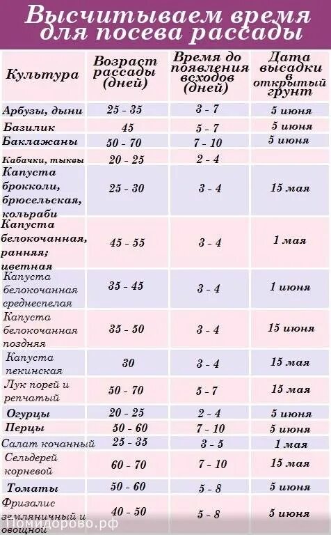 Сроки посева цветов на рассаду таблица. Таблица посева рассады в грунт. Посев семян цветов таблица. Таблица сроков посева однолетних цветов на рассаду. Посадка семян помидор в грунт