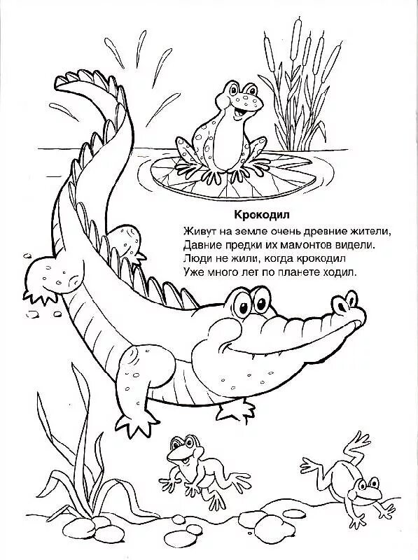 Загадка в воде живет. Загадки про крокодилов. Загадка про крокодила для детей. Загадка про крокодила. Детские загадки про крокодила.