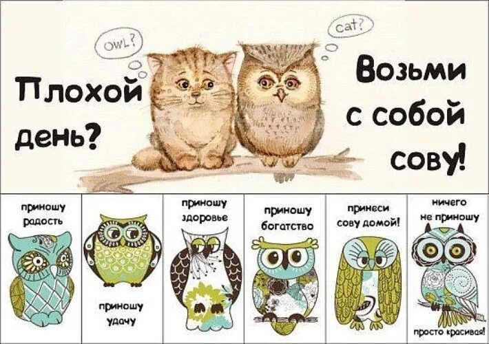 Группа сова хочешь дружить я с радостью. Хорошего дня сова. плакат хорошее настроение. хорошего дня и отличного настроения с совой. фразы про сову.