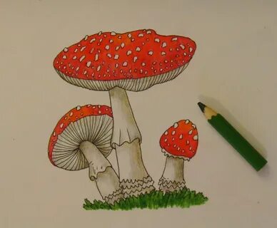 Изо рисуем гриб