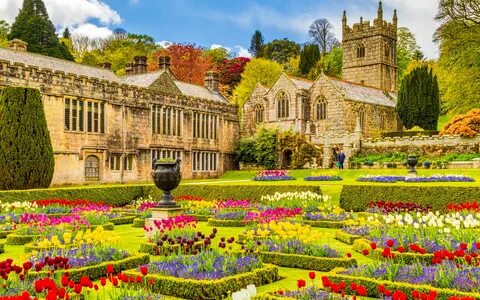 Plant england