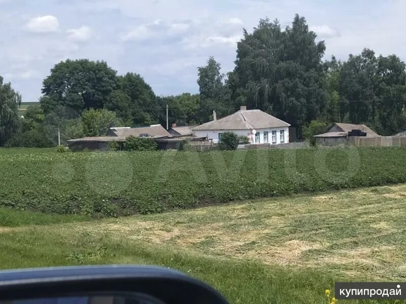 Репьевка курская область тимский. Село рогозцы. Репьевка курская область тимский. Храм рождества христова курск. Репьевка курская область тимский.