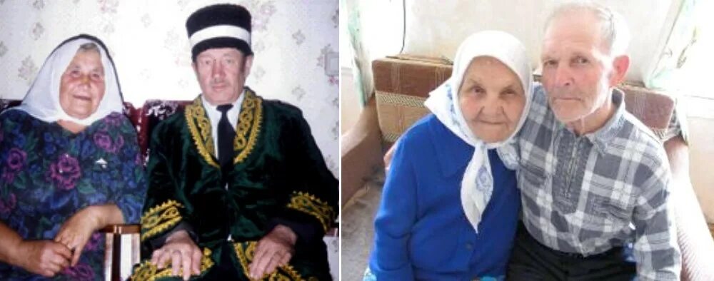 тол буйлары барда