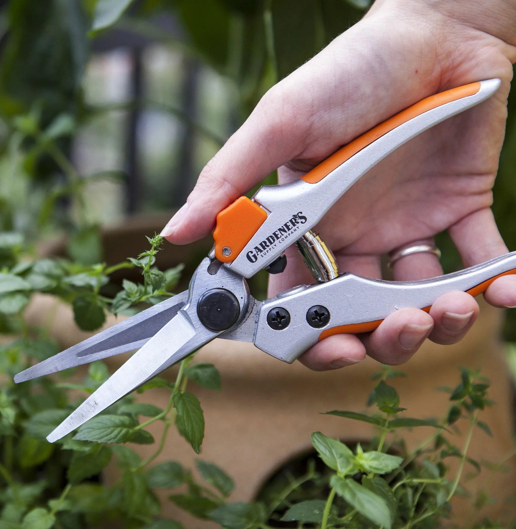 Секатор Центроинструмент 0703. Секатор fiskars 9654. Секатор садовый Argus Garden /30 ar-052. Секатор садовый GSB 20.