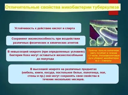 Микобактерия туберкулеза устойчива