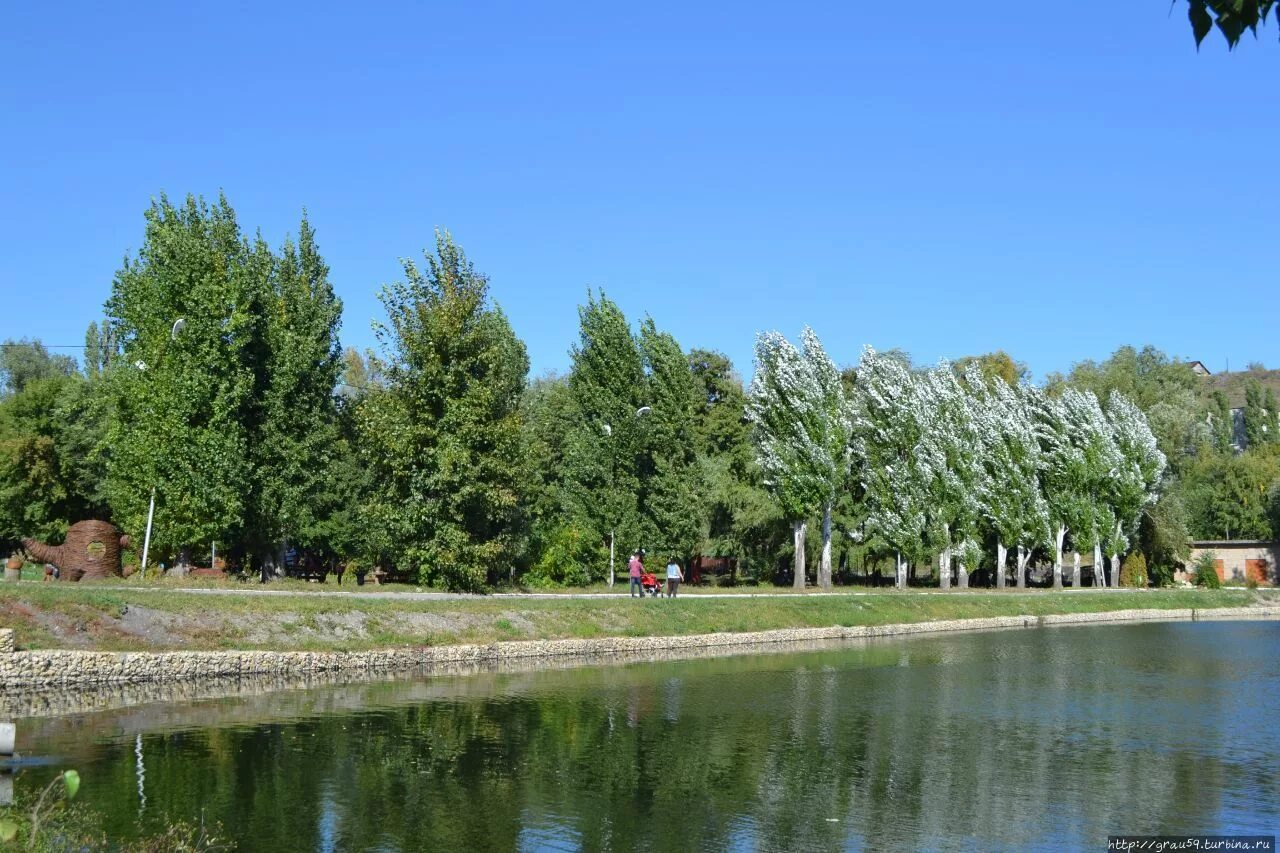 Сад имени радищева саратов лето. Парк корольков сад саратов. Оопт ботанический сад саратов. Сквер по ул. Городской сад липки саратов.