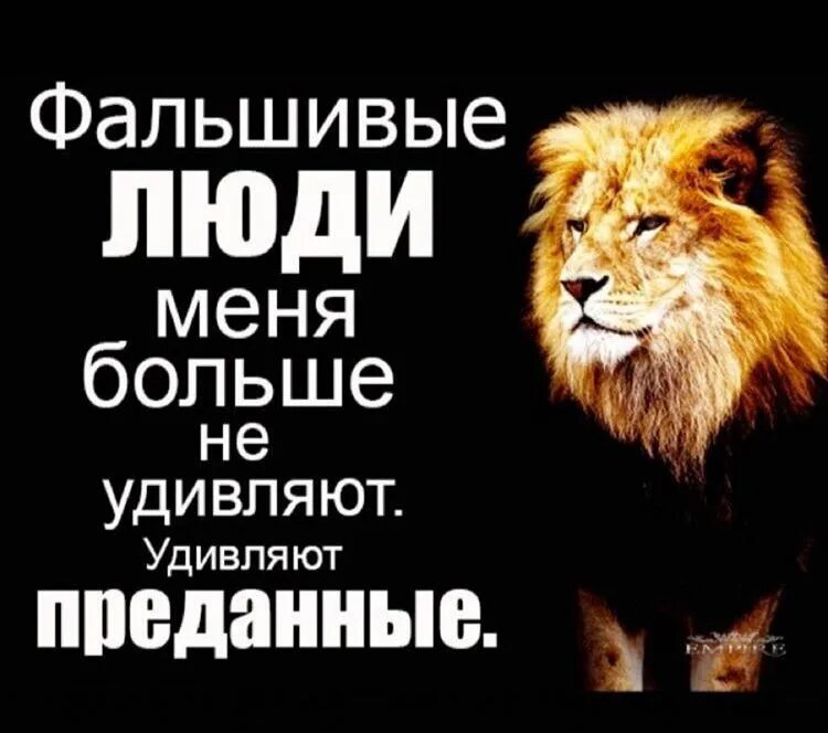 грустные цитаты про улыбку. твоя улыбка цитаты. фальшивая улыбка цитаты. в итоге она сдалась. фальшивые улыбки цитаты.