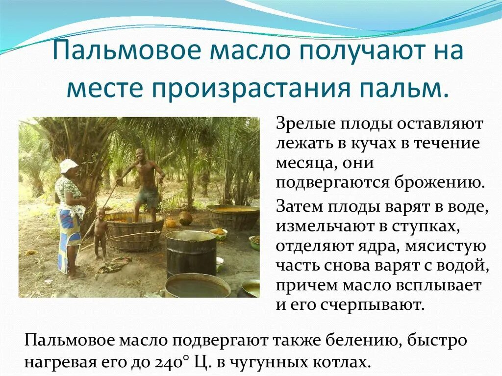 Пальмовое масло полезное. Пальмовое масло чем вредно для здоровья человека. Чем опасно пальмовое масло для организма человека. Чем опасно пальмовое масло для организма человека. Полезные масла для организма.