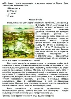 Класс биологии сочинение