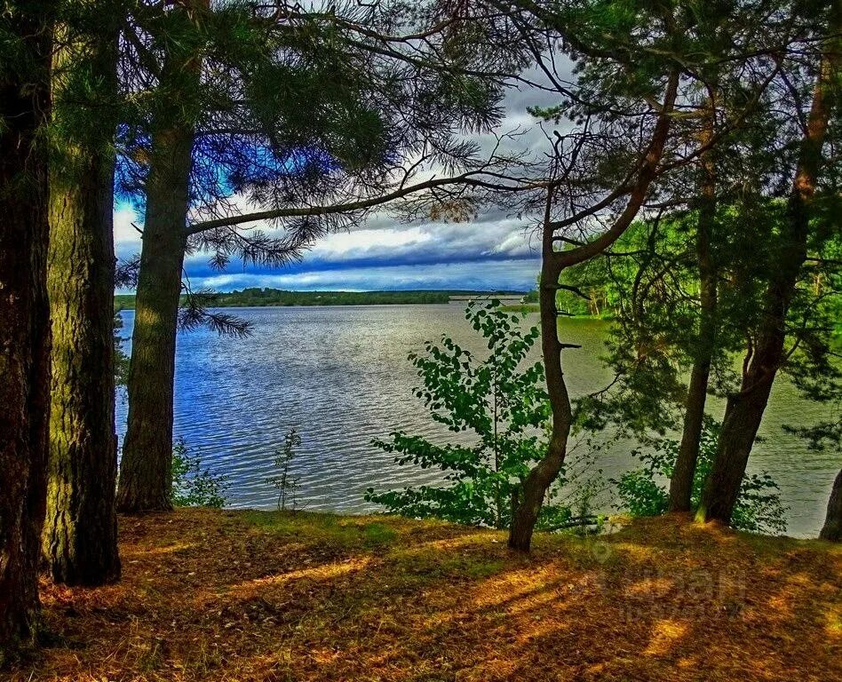 Берег реки собственность