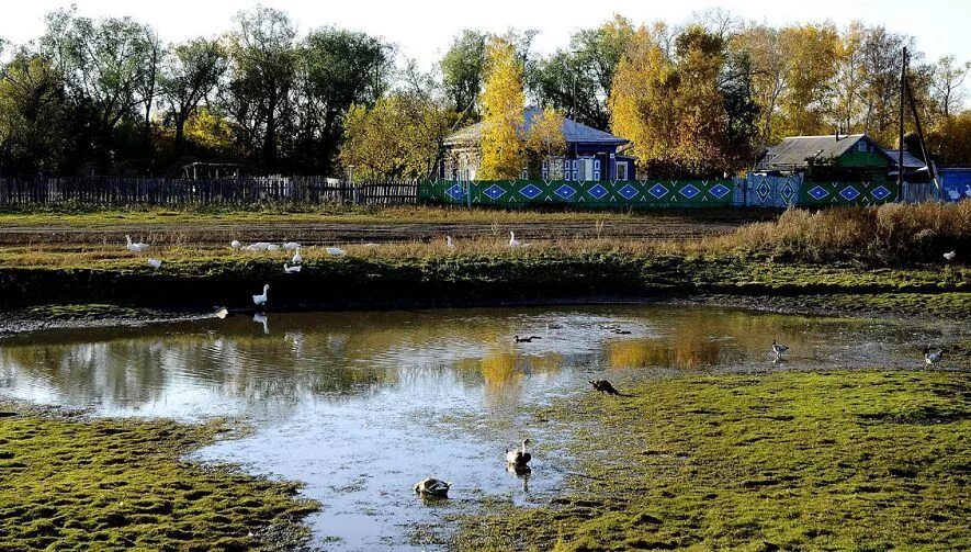 Деревня Букреево Плесо. Букреево Плесо Новосибирская область. Букреево Плесо Кочковский район Новосибирская область. Букреево Калужская область.