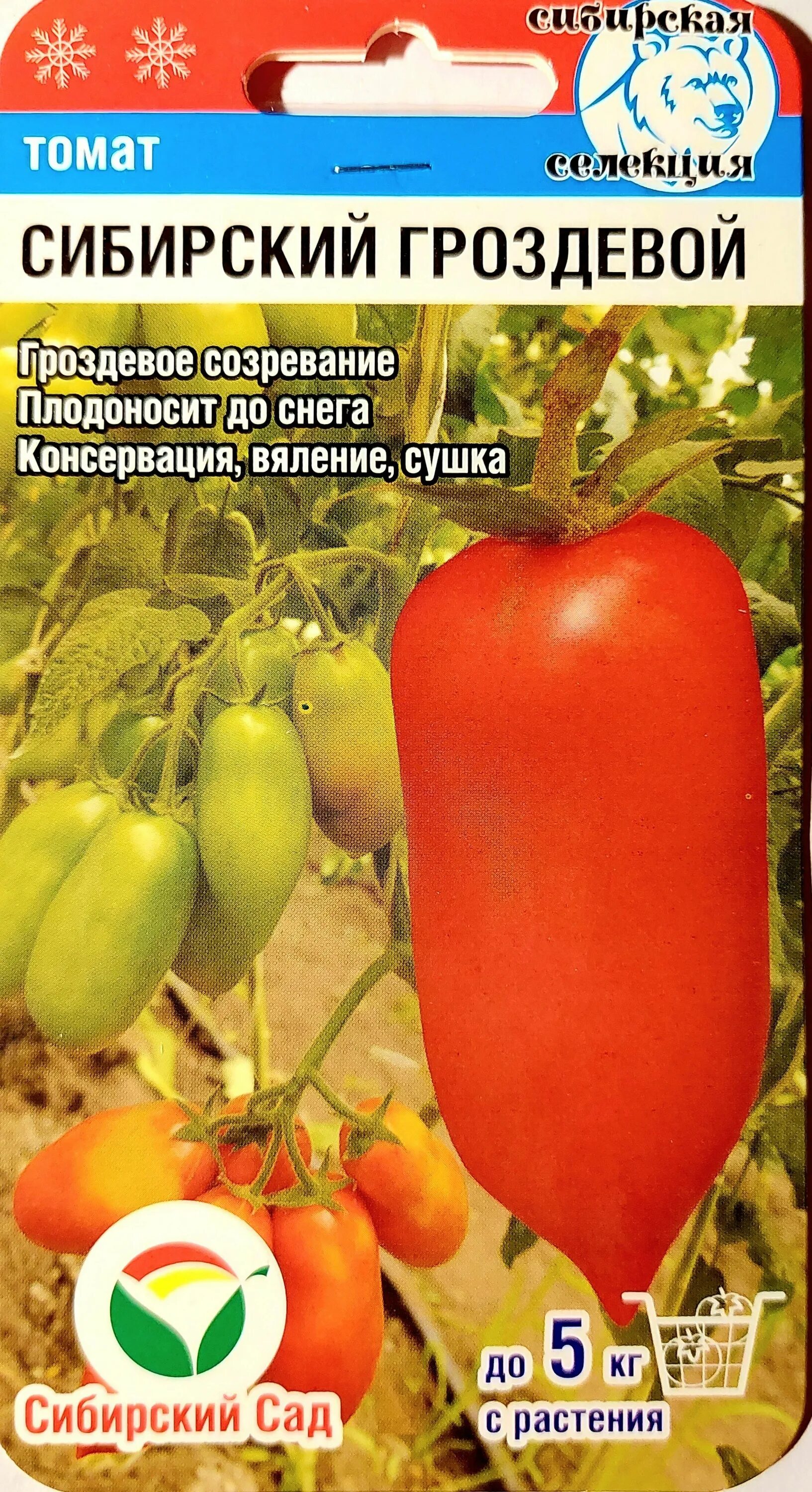 Томат Сибирский гроздевой 20шт. Сибирский гроздевой 20шт томат (Сиб сад). Томат Сибирский Изобильный Сибирский сад. Семена томат Сибирский гроздевой 20шт, Сибирский сад ар.с094. Томат гроздевой купить семена