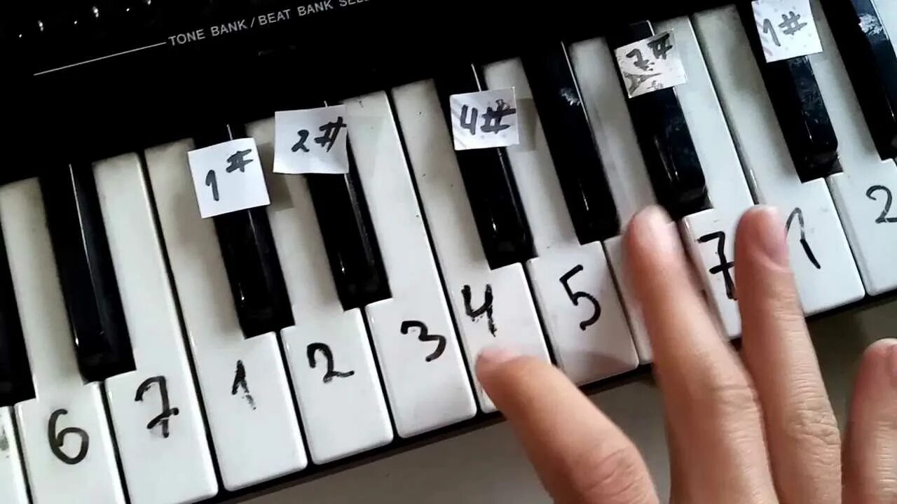 Федерико Феллини на синтезаторе. Клавиши фортепиано. Клавиши фортепьяно. Легкая композиция на пианино. На клавишах тургенева