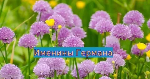 Именины 26 октября