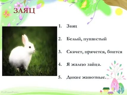 Составь синквейн о зайчике