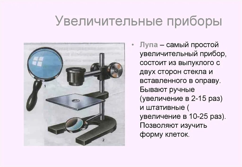 Доклад на тему линзовые приборы. Штативная лупа 5 класс увеличительные приборы-. Увеличительные приборы 5 класс биология лупа. Лабораторная увеличительные приборы штативная лупа. Увеличительные приборы лупа и микроскоп 5 класс.