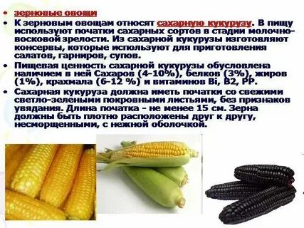 Сколько хранится открытая кукуруза