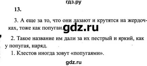 Упражнения 13 стр 13 4 класс