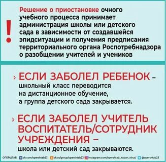 Алгоритм действий образовательных организаций