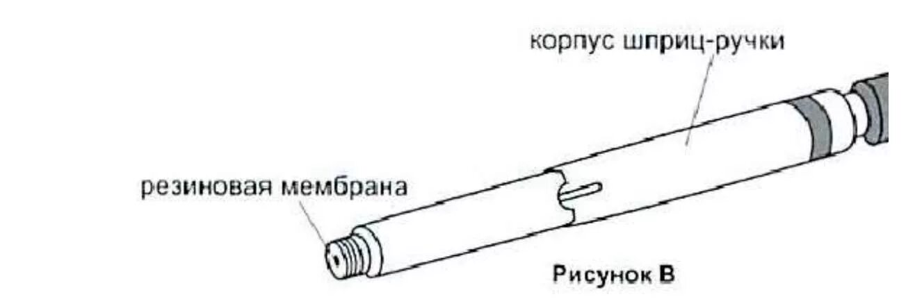 Как пользоваться шприц ручками видео. Изображение шприц ручки. кожух для шприца инсулина. иллюстрации шприц ручка. ручка шприц карандаш.