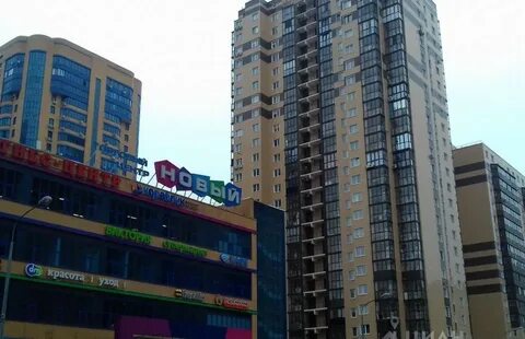 Авито реутов