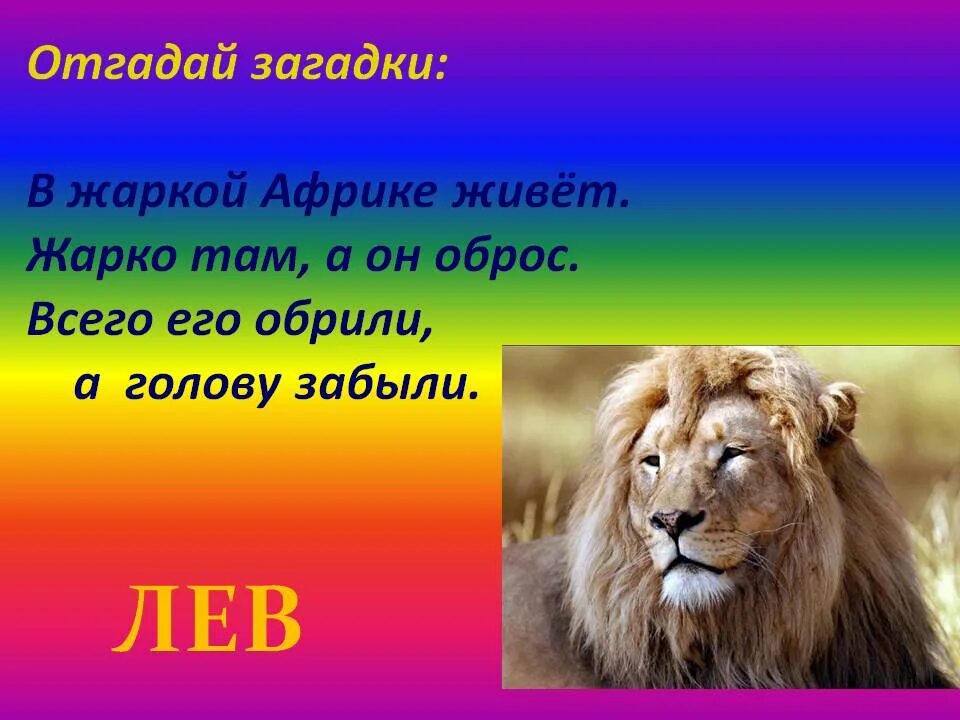 1 июля лев