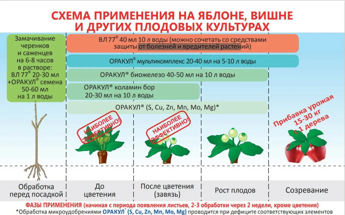 Чем обработать яблоню после цветения. Вл-77 удобрения. Схемы обработки плодовых деревьев. Схема обработки яблоневого сада. Схема обработки сада яблоня.