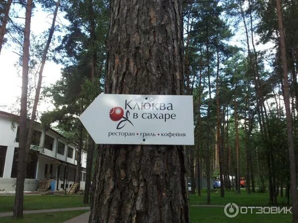 Ресторан клюква. Клюква ресторан ставрополь. ресторан клюква в сахаре. клюква в сахаре дракино. ресторан клюква байкальск.