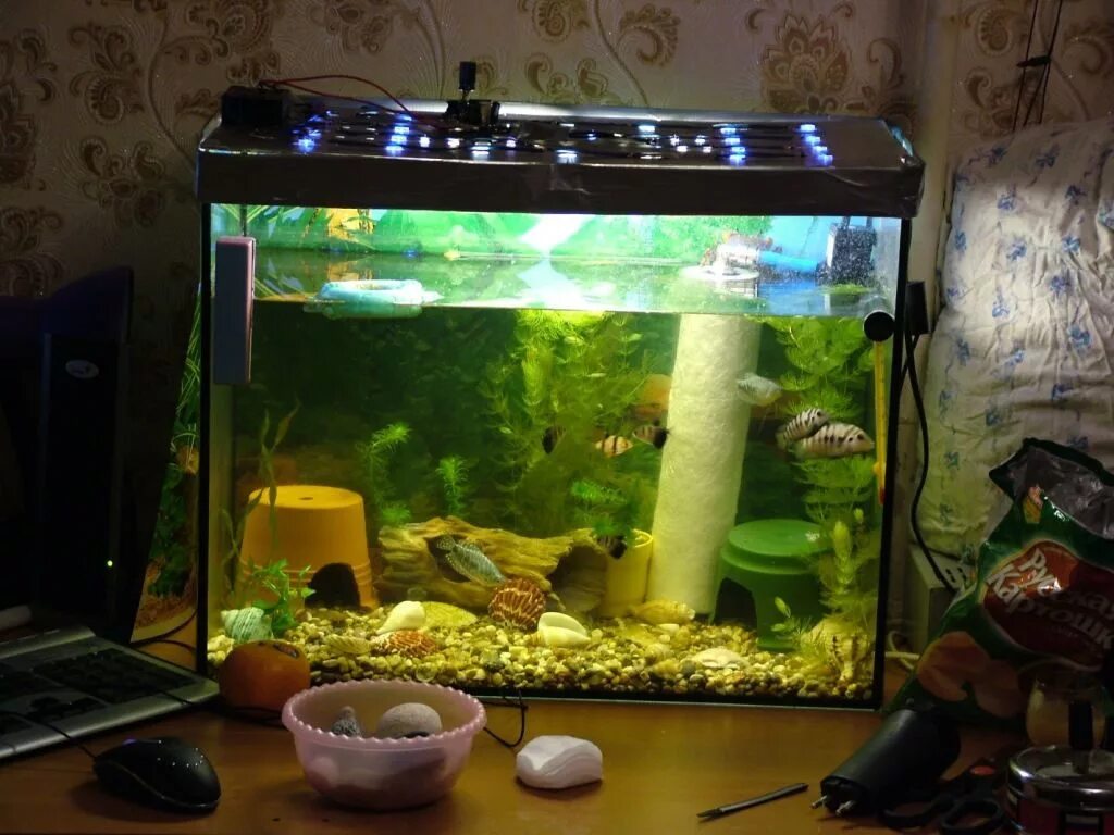 нужен ли свет в аквариуме черепахам.