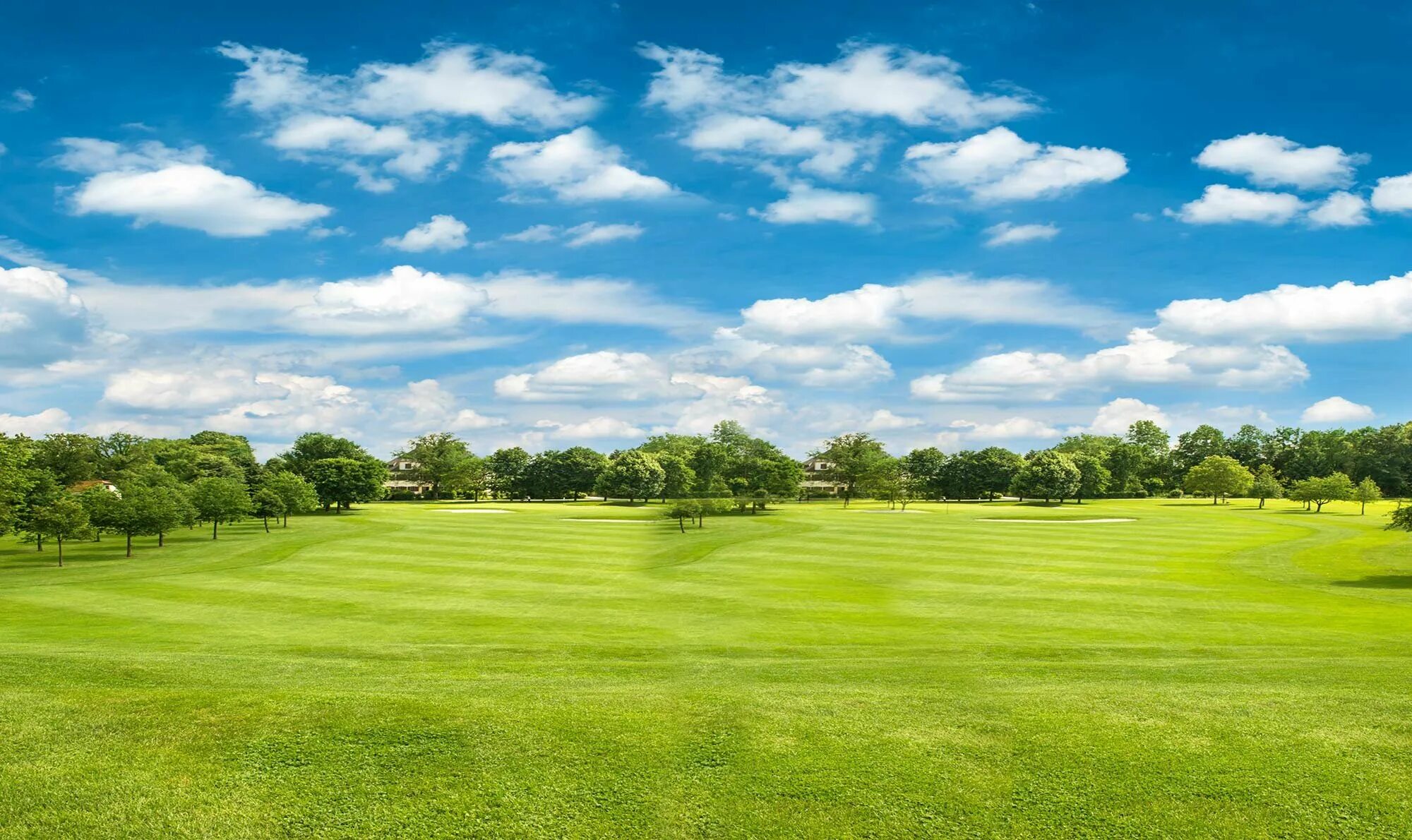 Toshiba 40l3453r. Зеленое поле. Поле небо. Большое зеленое поле трава вид сверху. Green ground палитра.