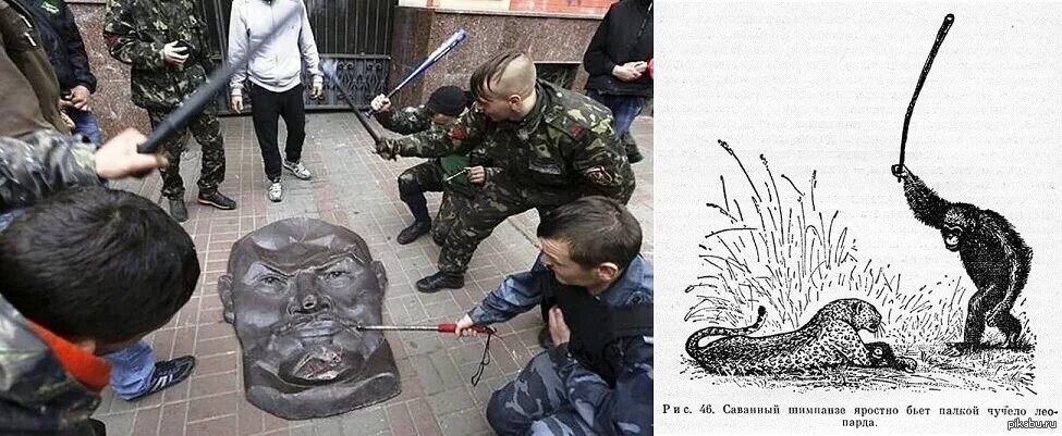 Смешная палка. Мем с палкой. Обезьяна с дубинкой. Бунд. Мем с палкой.