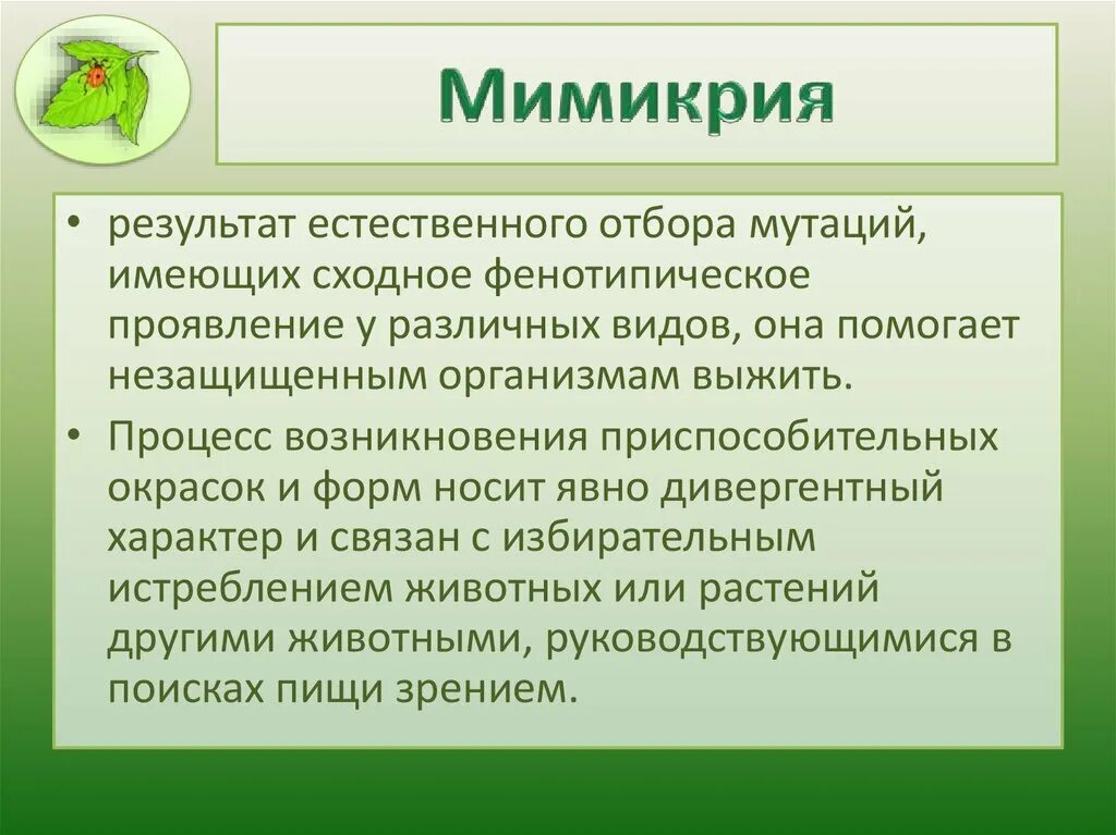 След мимикрия с отягчающими. Мимикрия эволюция. механизм мимикрии. механизм возникновения мимикрии. мимикрия биология 9 класс.