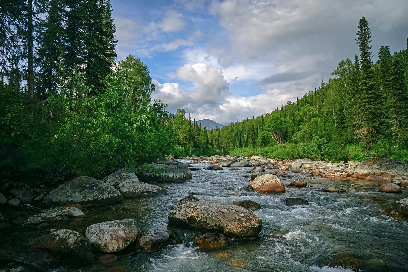 река черный июс хакасия. река белый июс хакасия. р хакасия. белый июс горы. сундуки ширинский район.