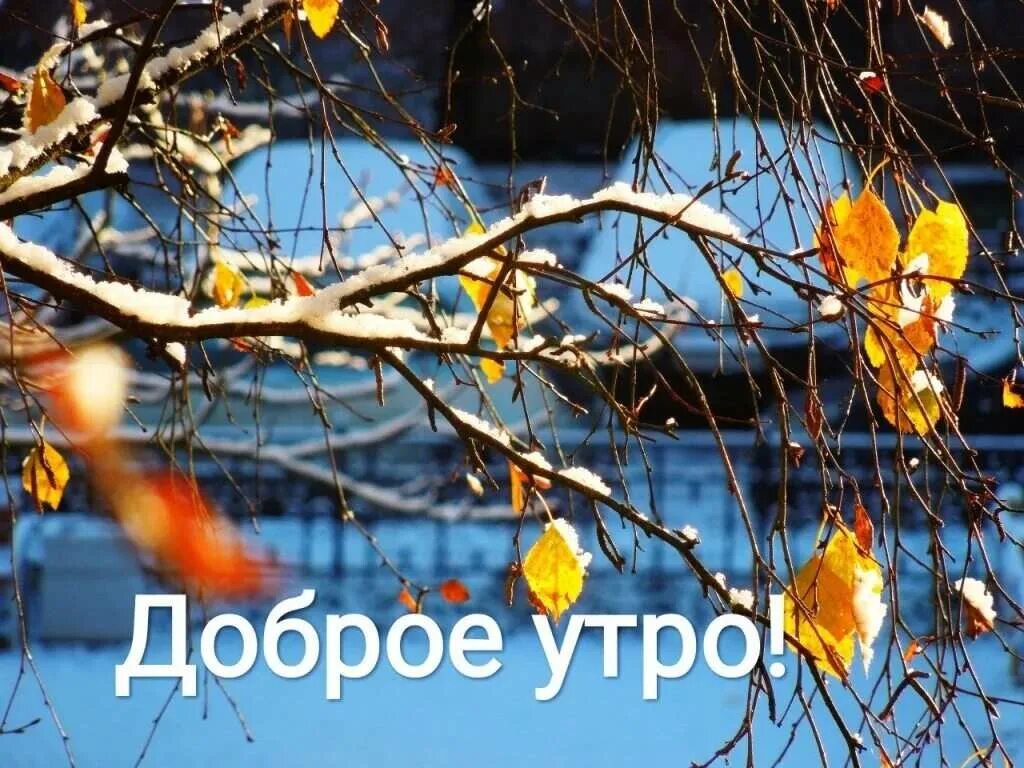 Доброе утро ноября ютуб. Доброе утро ноябрь. с добрым осенним утром ноября. с добрым ноябрьским утром. доброе утро осеннее ноябрьское.