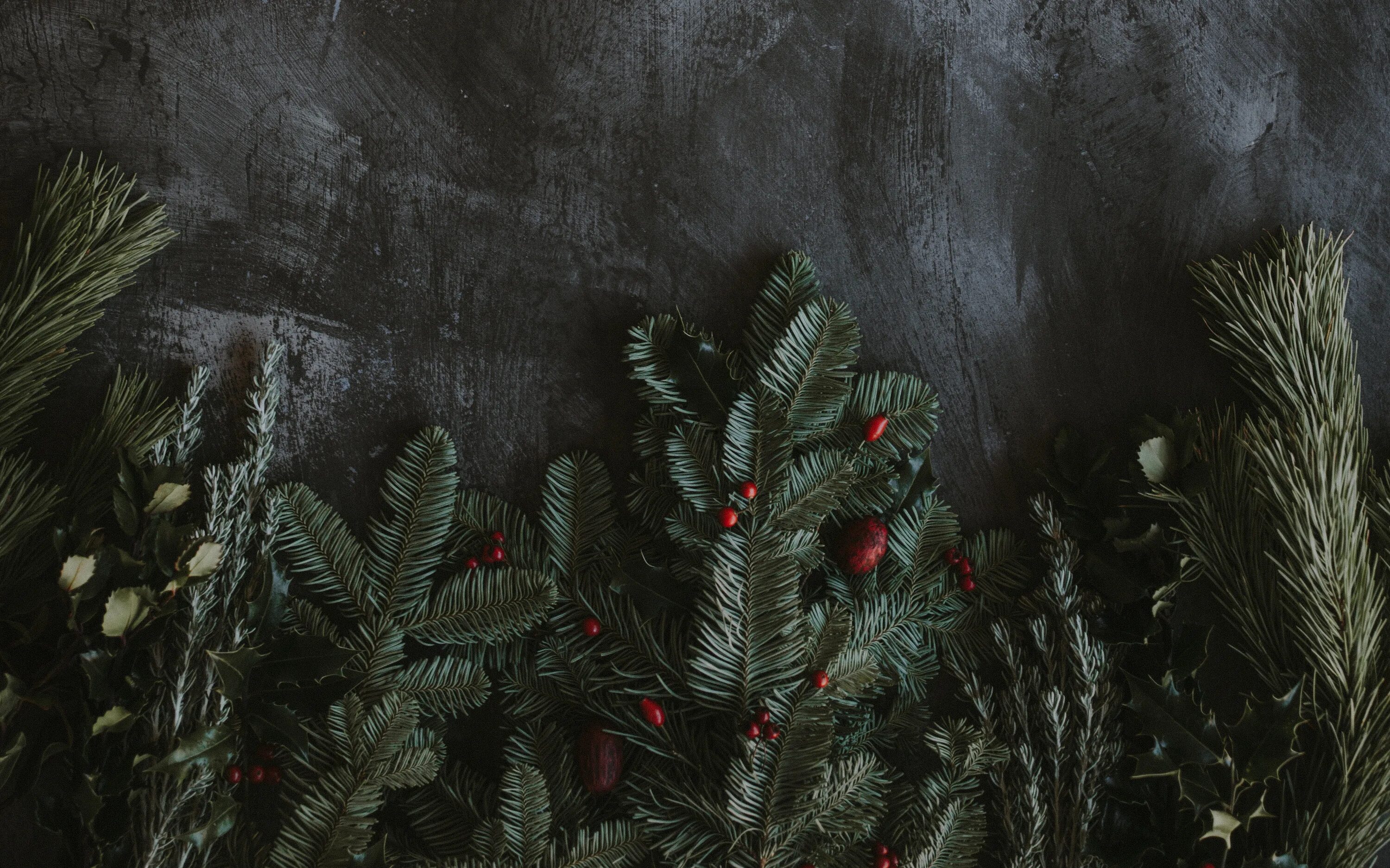 Хвоинки елки. Хвоя на темном фоне. Ель эстетика. Сосновая ветка. Хвоя эстетика.