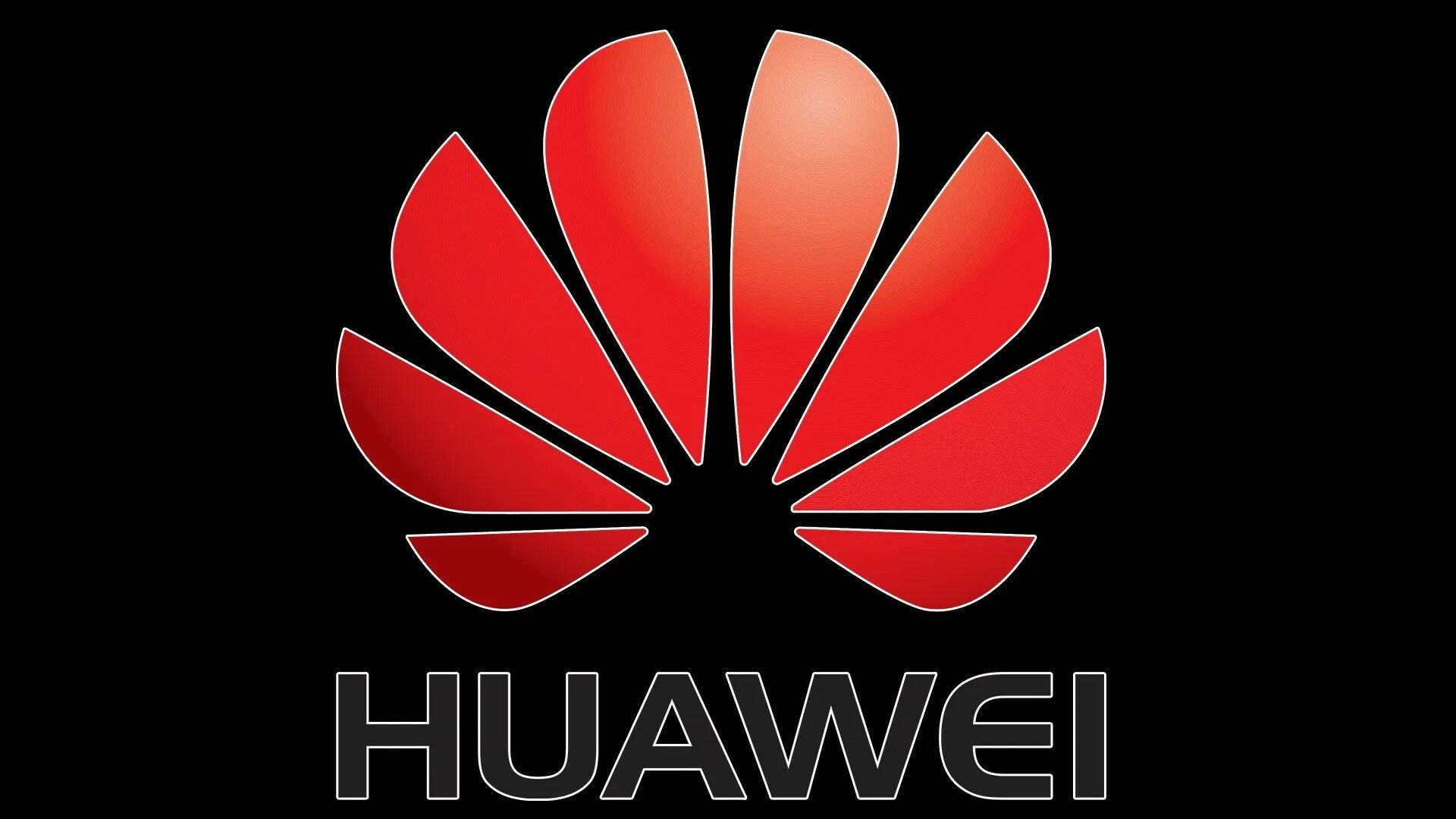 Логотип huawei. Huawei. хуавей эмблема. huawei надпись. huawei картинки.
