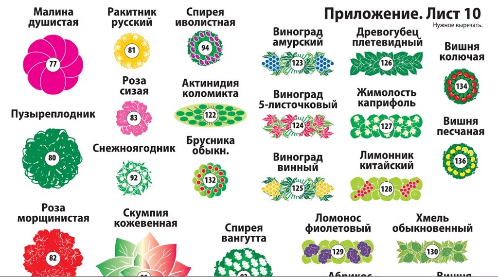 Дизайн иконы цветка магнолии символ цветочного круга плоская икона Премиум векто